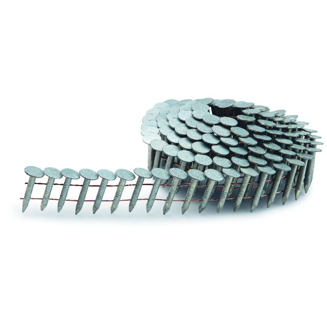 PAPPSPIK FAST COIL FZV 3,1X19 LÅDA=2880ST | Beijerbygg Byggmaterial PAPPSPIK FAST COIL FZV 3,1X19 LÅDA=2880ST | Beijerbygg Byggmaterial
