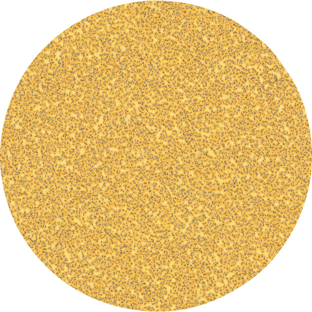 SLIPARK EXC K40 125MM 50ST | Beijerbygg Byggmaterial